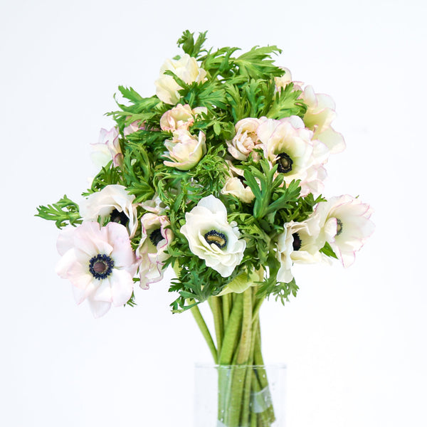 Anemone - White