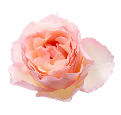 Princess Charlene