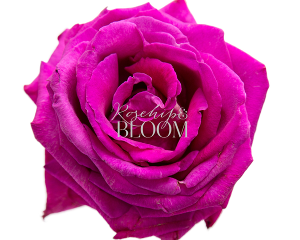 Belle Rives – Rosehip & BLOOM