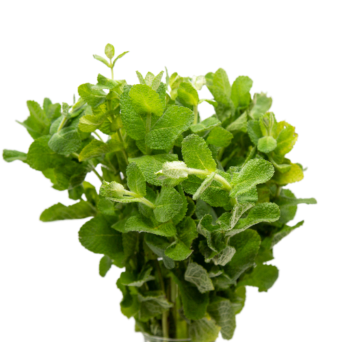 Mint