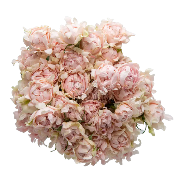 #SoFine - New Addition! Spray Roses